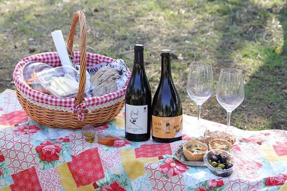 סלסלת פיקניק של מטה יהודה // צילום: אלדד מאסטרו